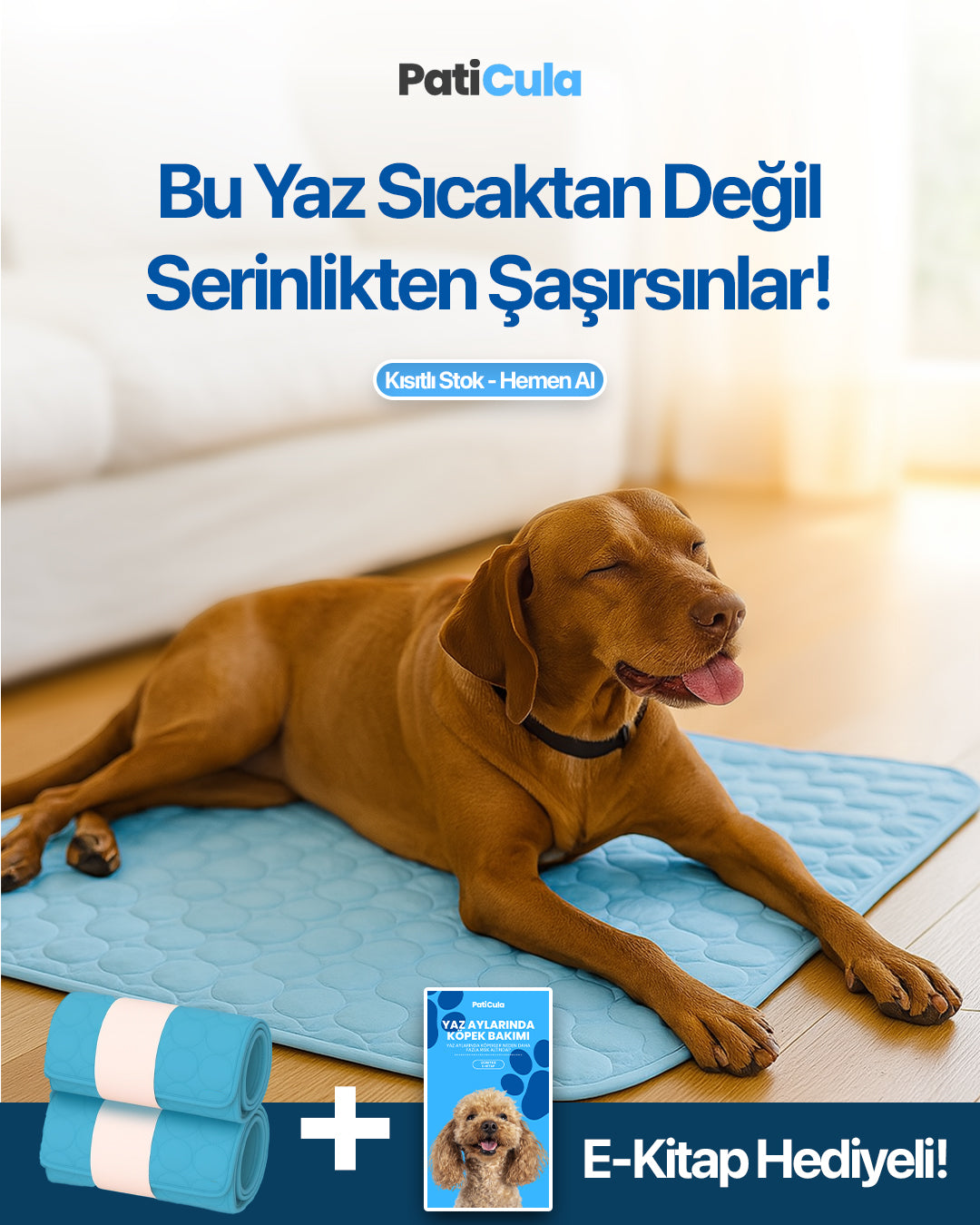 PatiCula Ultra Serinletici Mat™